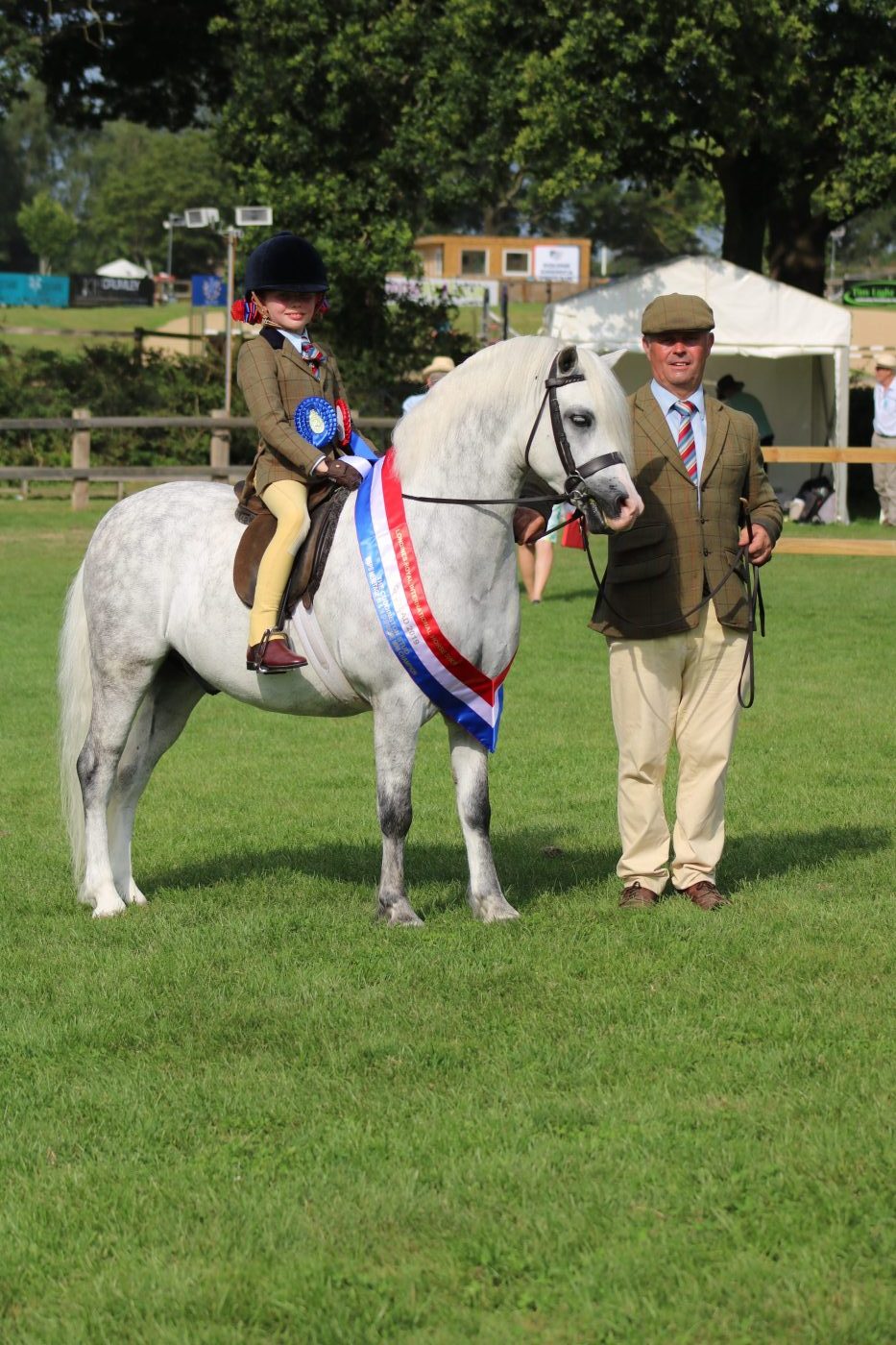Manorlea-Maverick-IMG_7507_327148971_535223072-e1574160566839.jpg