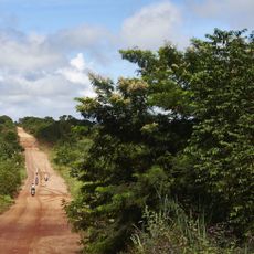 Plant community, Trail, Dirt road, Soil, Shrubland, Bicycle, Path, Jungle, Cycle sport, Mountain biking, 