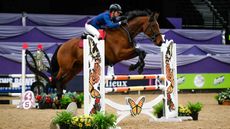 Julia-Helm_HELMS-ROSSIO_HOYS_PN24_170839.jpg