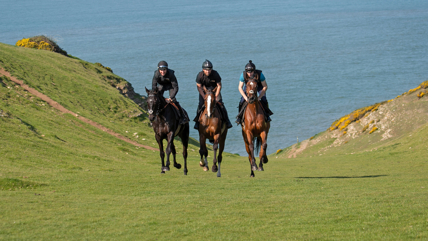 NAF-_-May-4-_3-horses-running-up-hill