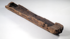 Photograph of the Pesse canoe, the oldest boat in the world. Carved wood.
