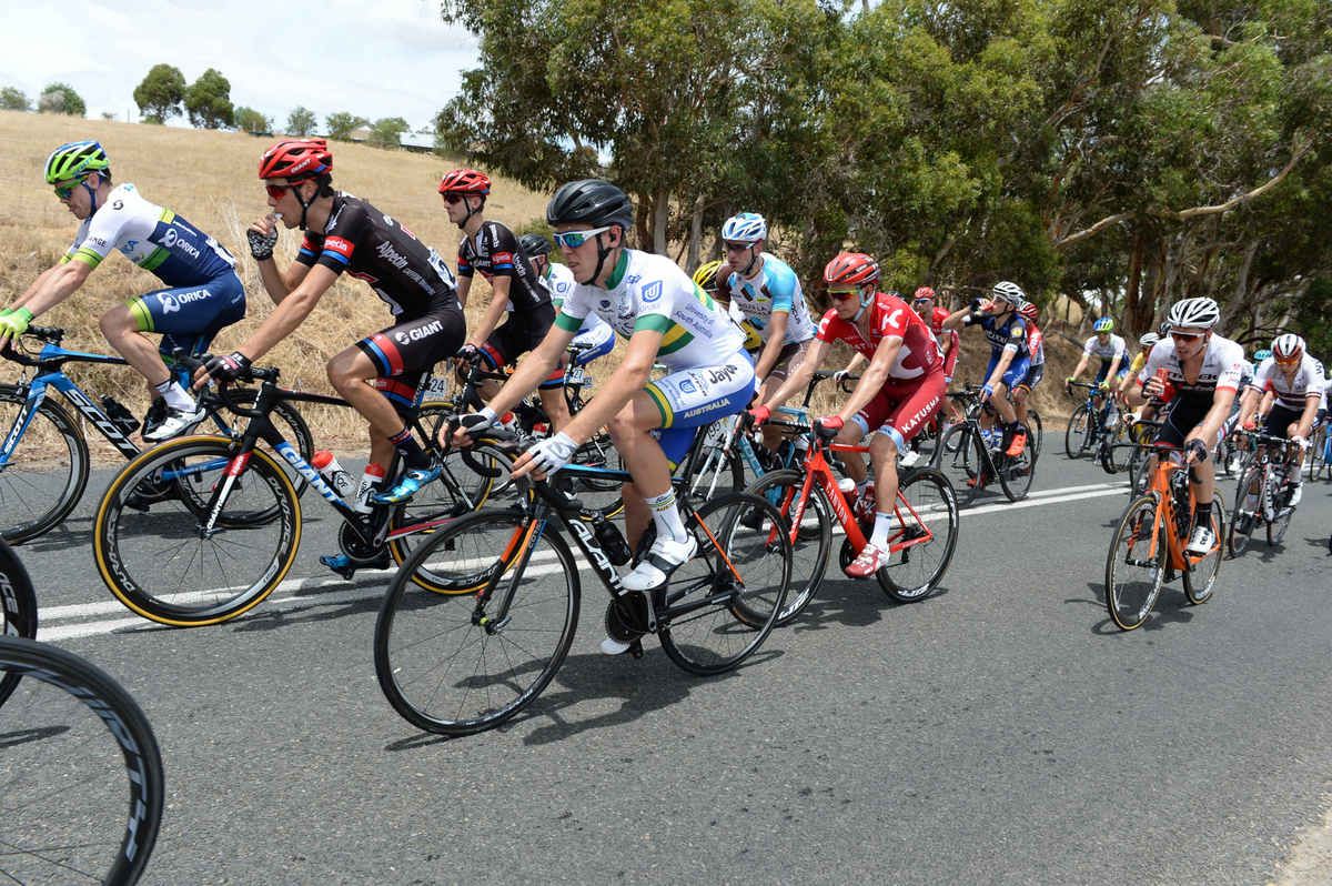 Chris Hamilton (UniSA-Australia)