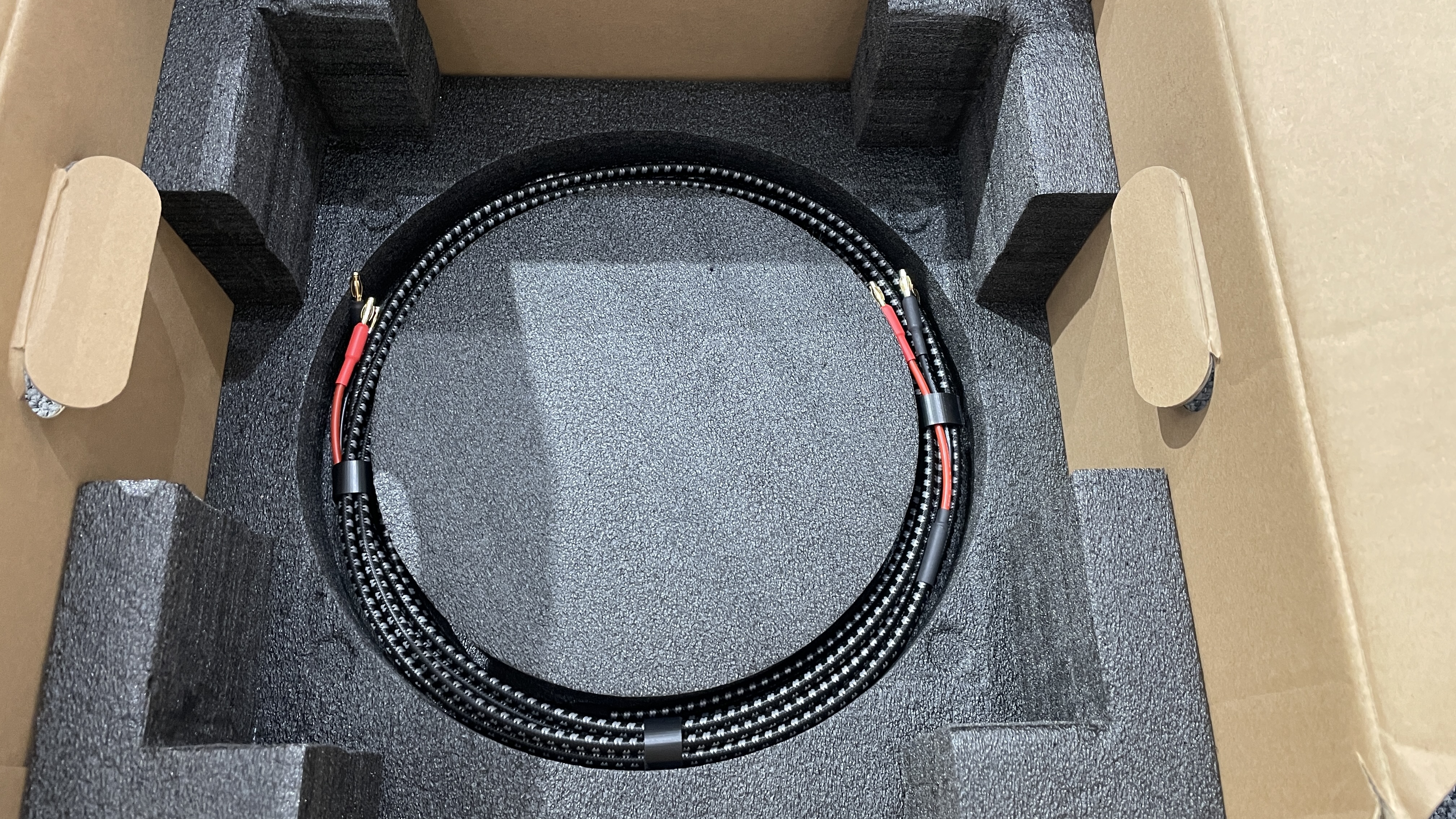 Speaker cables in Ruark R610 box