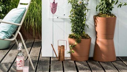 plant pots with a watering can