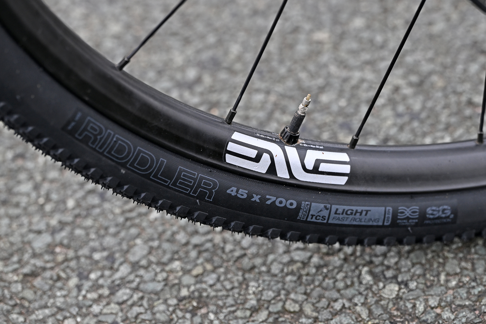 Close up of the text on the side of a WTB Riddler tyre