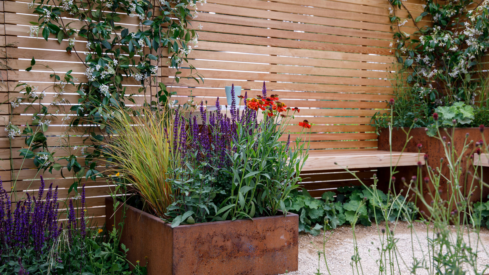 slatted fence with garden bench, corten steel containers with salvia, helenium and ornamental grass, and gravel landscaping