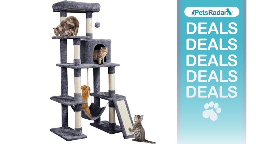 Yaheetech Large Cat Tower with PetsRadar deals graphic