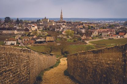 Meursault 2023
