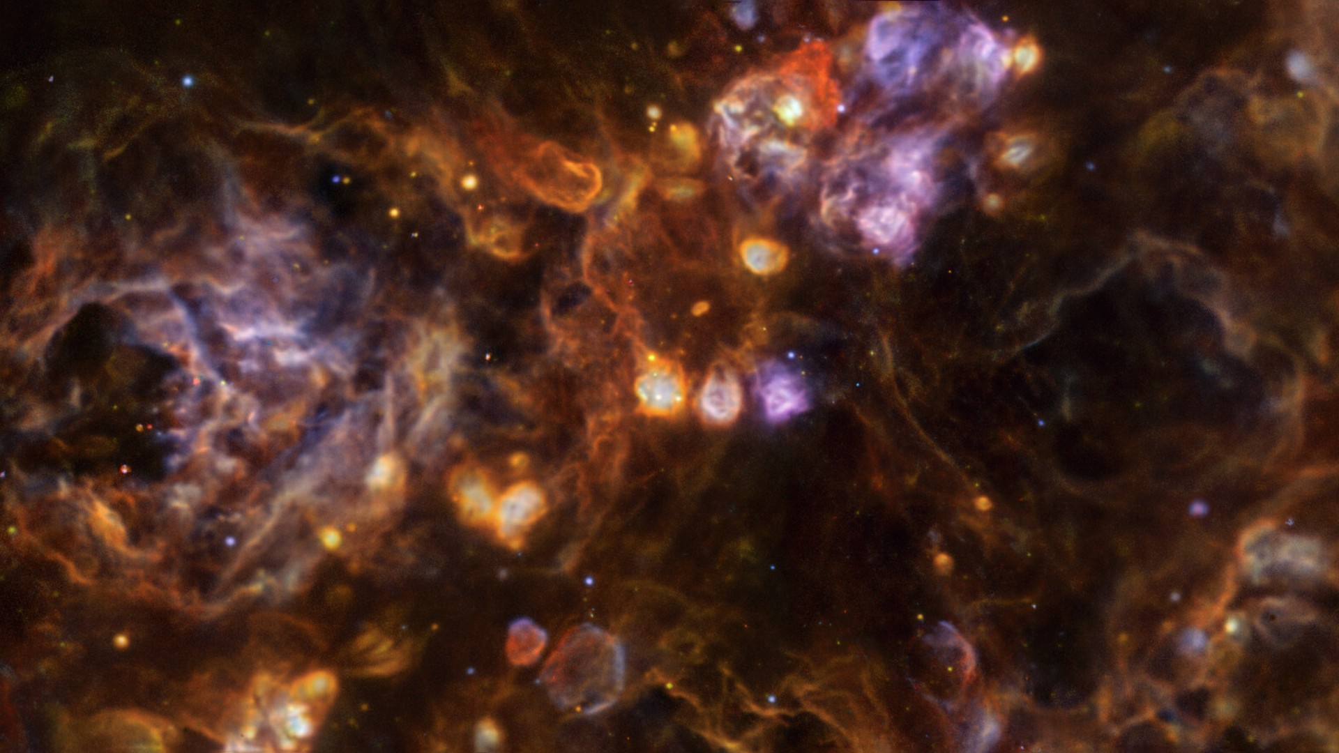 "This cosmic interplay produces a spectacular and dynamic landscape, revealing that the birthplaces of stars are far more beautiful and complex than we ever imagined."