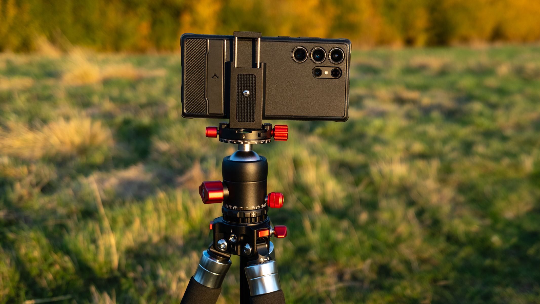 Freewell Real Multi Tripod 5-in-1 in a field