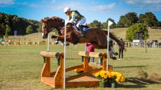 World Eventing Championships cross-country