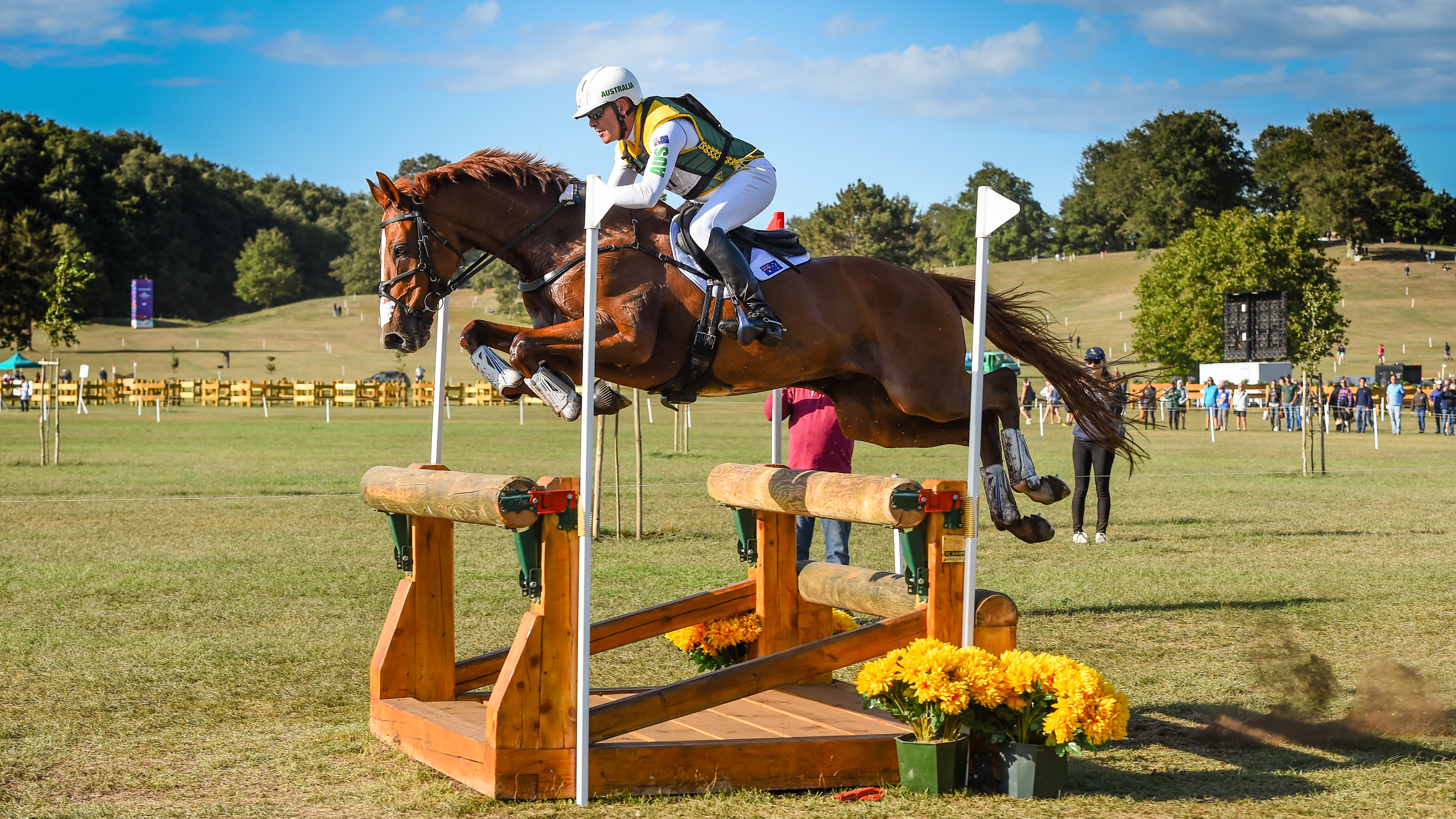 World Eventing Championships cross-country