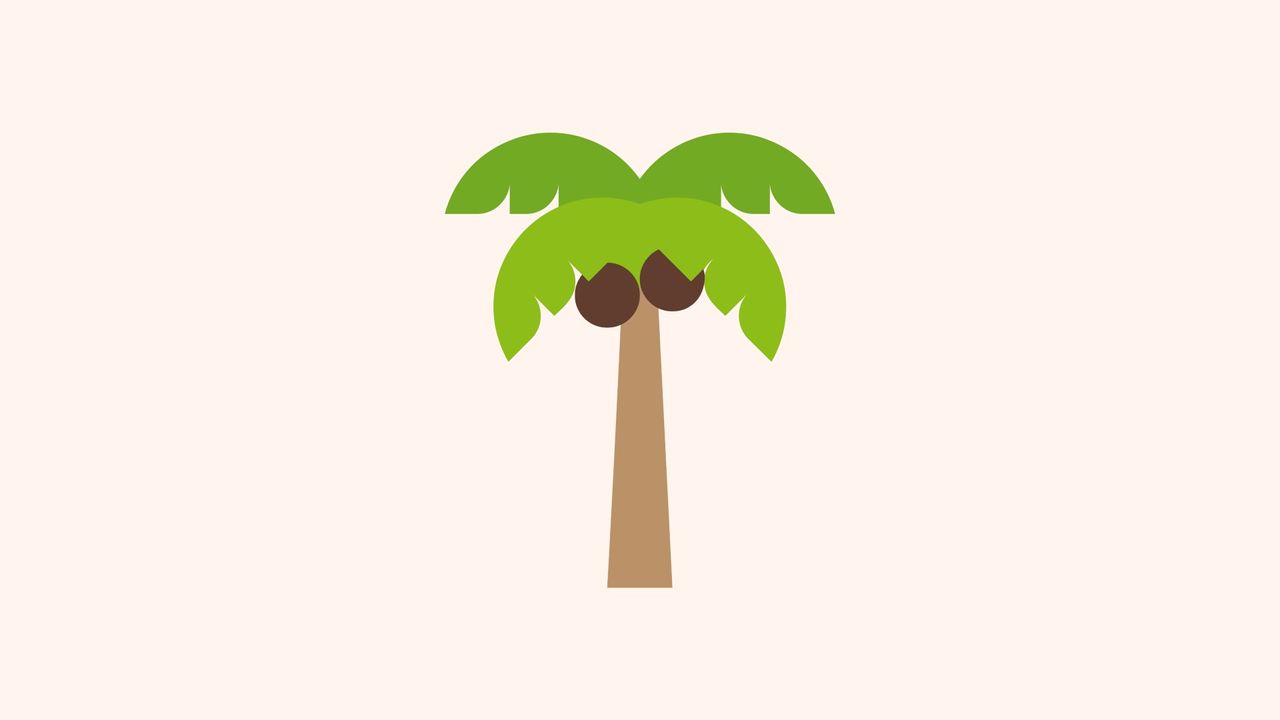 illustration of a palm tree with coconuts