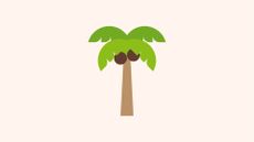 illustration of a palm tree with coconuts