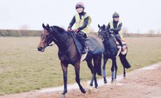 Rosie Margarson is pushing for more safety measures in Newmarket