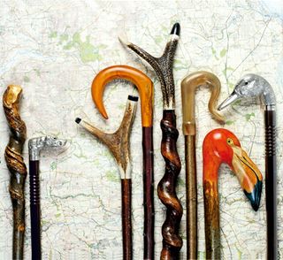 Walking sticks