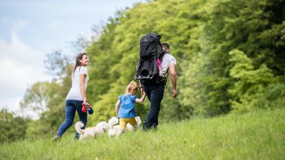 best hiking baby carrier: LittleLife Voyager S5