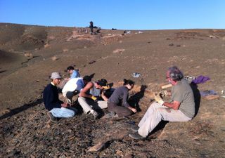 The team of researchers who excavated the fossils from the Fezouata Formation in Morocco.