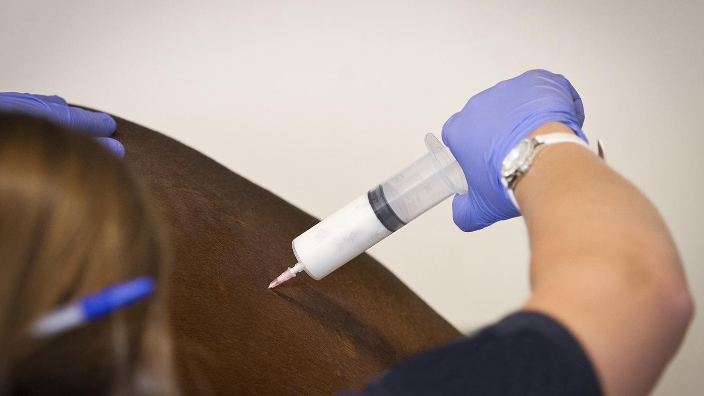 Injecting antibiotics