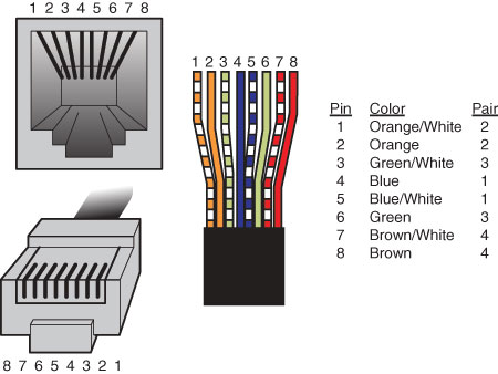 An AT&T 258A/EIA 568B standard–compliant 8P8C (RJ45) connector.