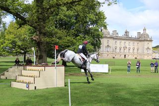 Houghton International. Photography credit: Julie Walker/MEM