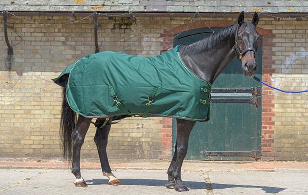 Kensington Rain Sheet review