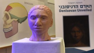 A close-up of the 3D printed reconstruction of a female Denisovan, unveiled by Professor Liran Carmel, researcher at the Hebrew University in Jerusalem, at a press event in Jerusalem, Thursday, September 19, 2019. It is the first reconstruction of the Denisovan anatomy.