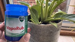 VapoRub pest plant hack
