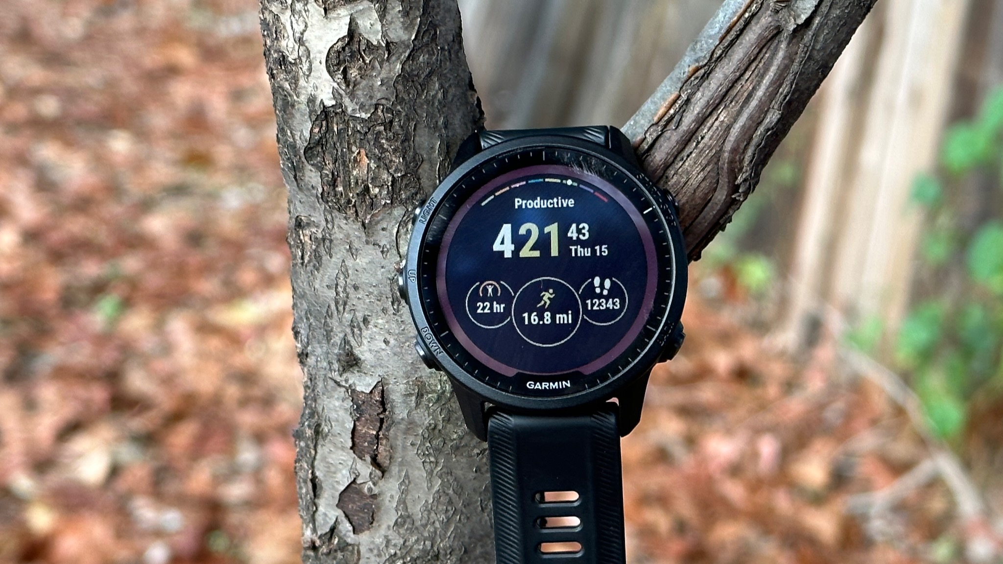 Garmin Forerunner 955 Solar watch face showing mileage, daily steps, and recovery time.