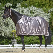 Eskadron_Platinum_Collection_available_through_Dressage_Deluxe_jpg.jpg
