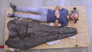 The size of the new ichthyosaur is perhaps best illustrated with a human for scale.