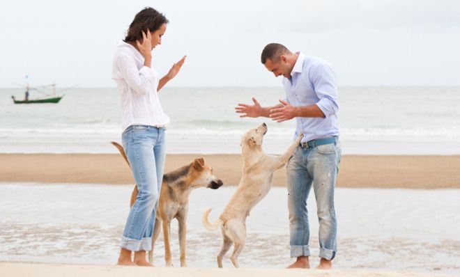 Couple and dog