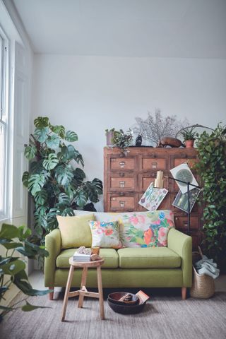 small, cozy living room with incredible chesse plant