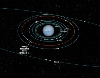 This diagram shows the orbits of several moons located close to the planet Neptune. All of them were discovered in 1989 by NASA's Voyager 2 spacecraft, with the exception of S/2004 N 1, which was discovered in archival Hubble Space Telescope images taken from 2004 to 2009. Image released July 15, 2013.