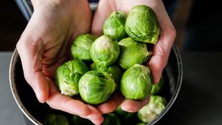 two hands cupping brussels sprouts