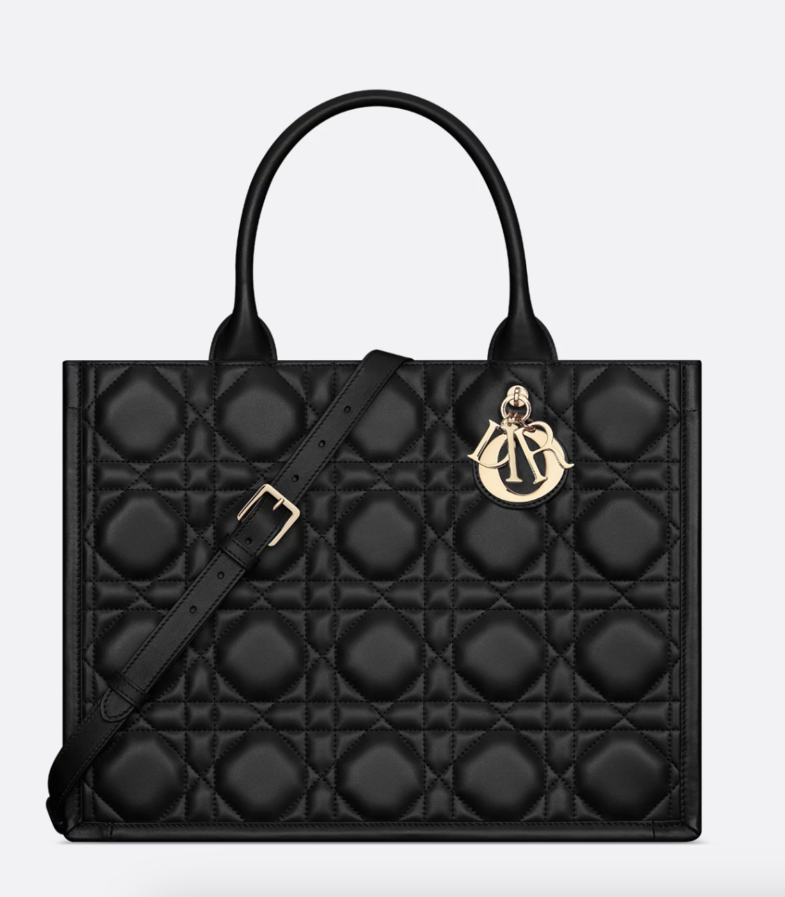 Dior, Medium Dior Book Tote