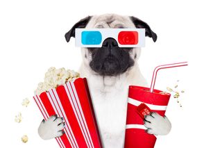 A dog wears retro 3D glasses with soda and popcorn.