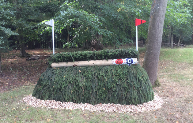 Blenheim Fences 2018