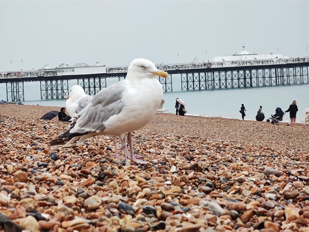 Motorola Edge 20 Pro camera sample