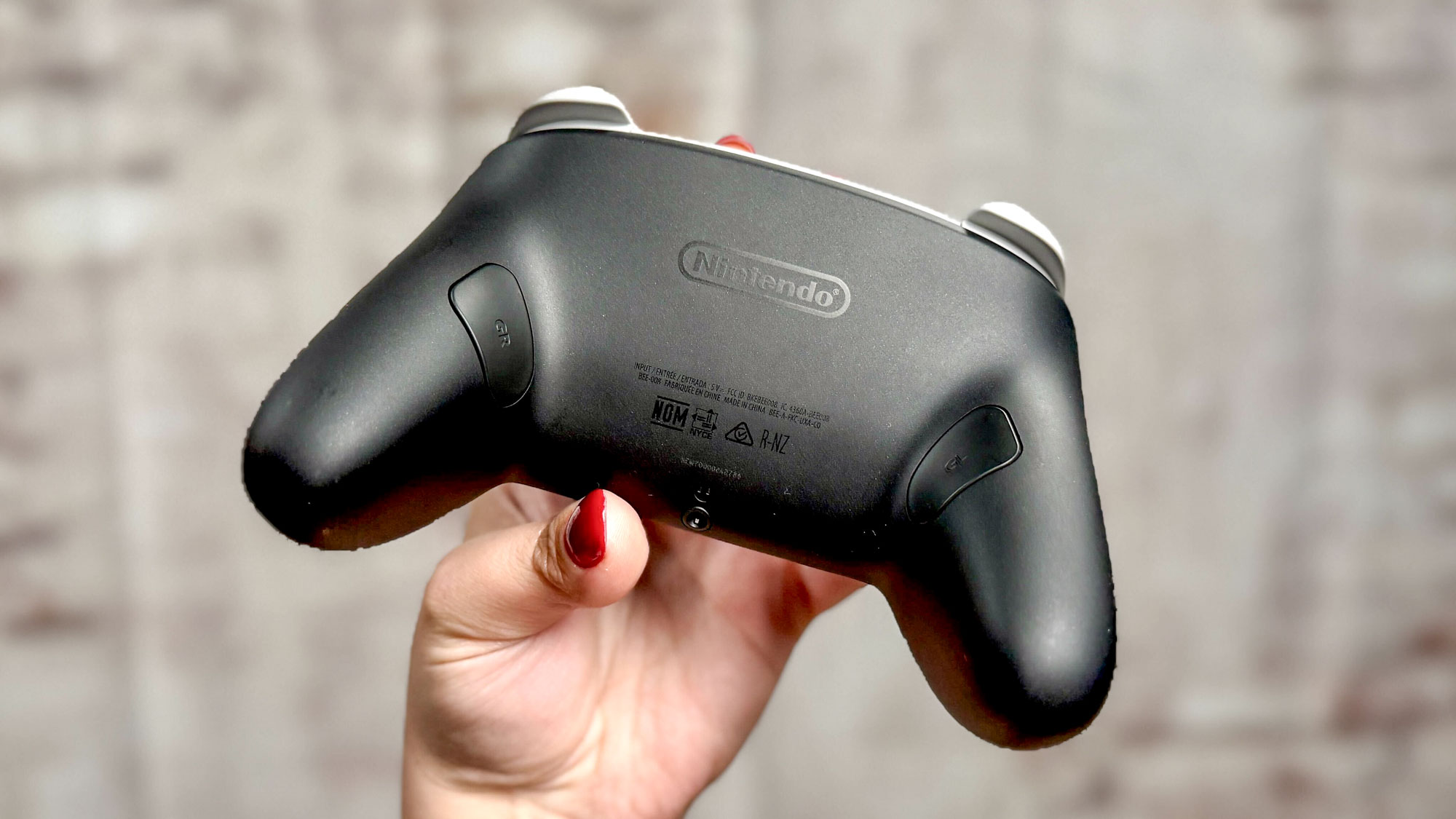 Nintendo Switch 2 Pro Controller