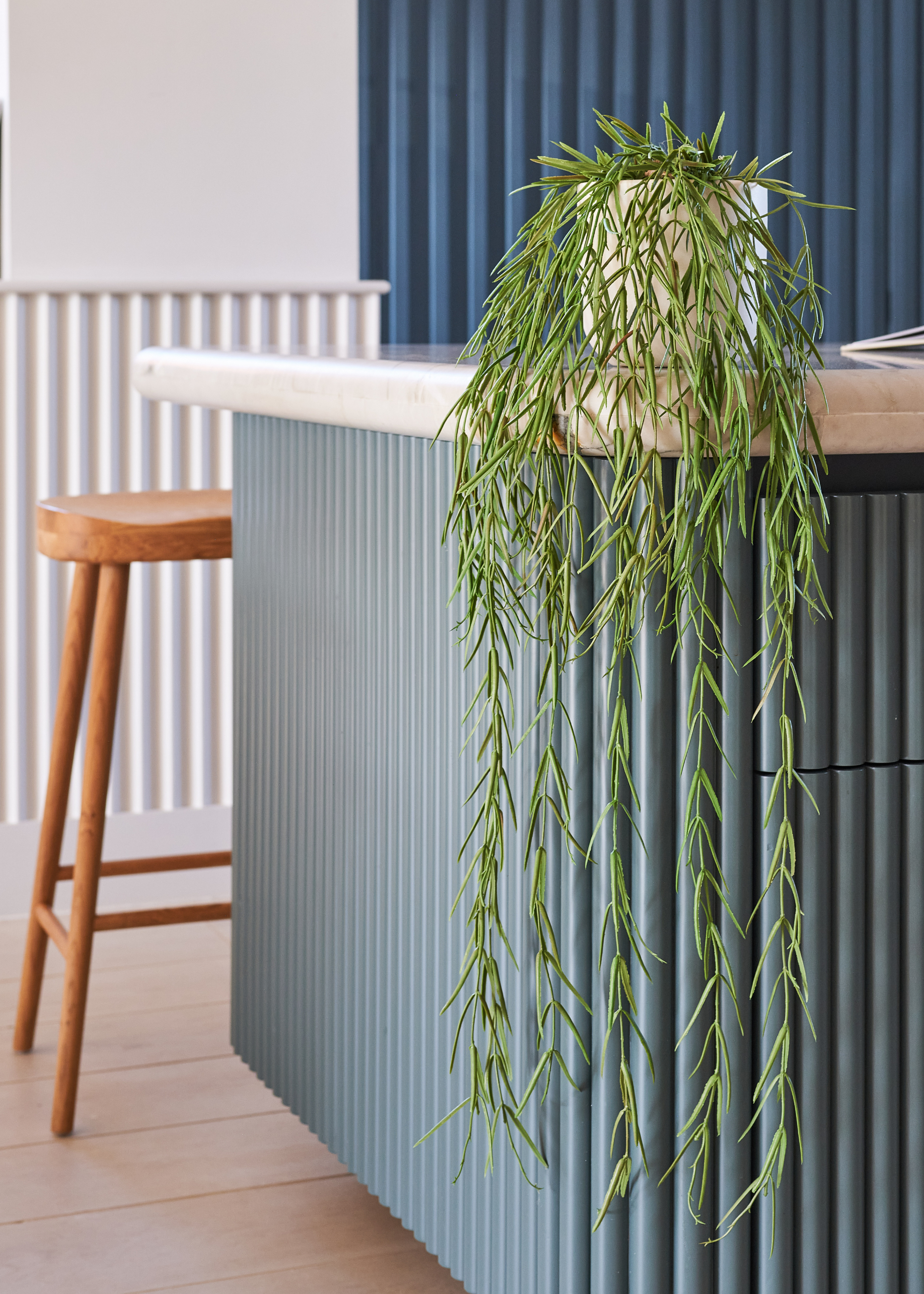 A trailing houseplant on a kitchen island