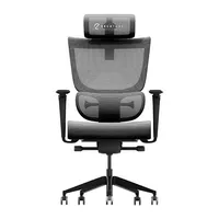 ErgoTune Supreme V3 SG$988SG$518 at Lazada