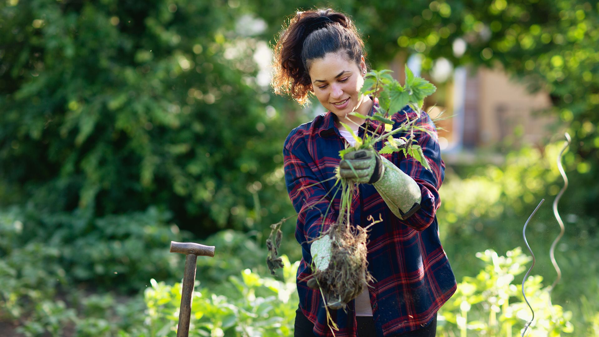 7 Types Of Natural Weed Killer To Use In Your Yard Top Ten Reviews 4020