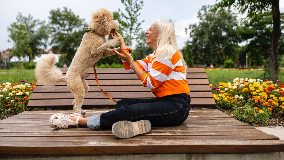 Woman playing with dog in park