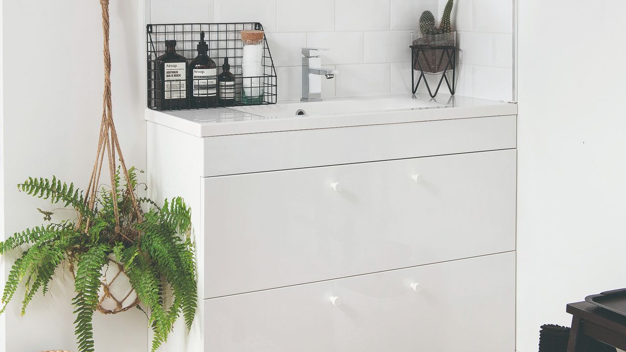 White bathroom with a hanging fern plant