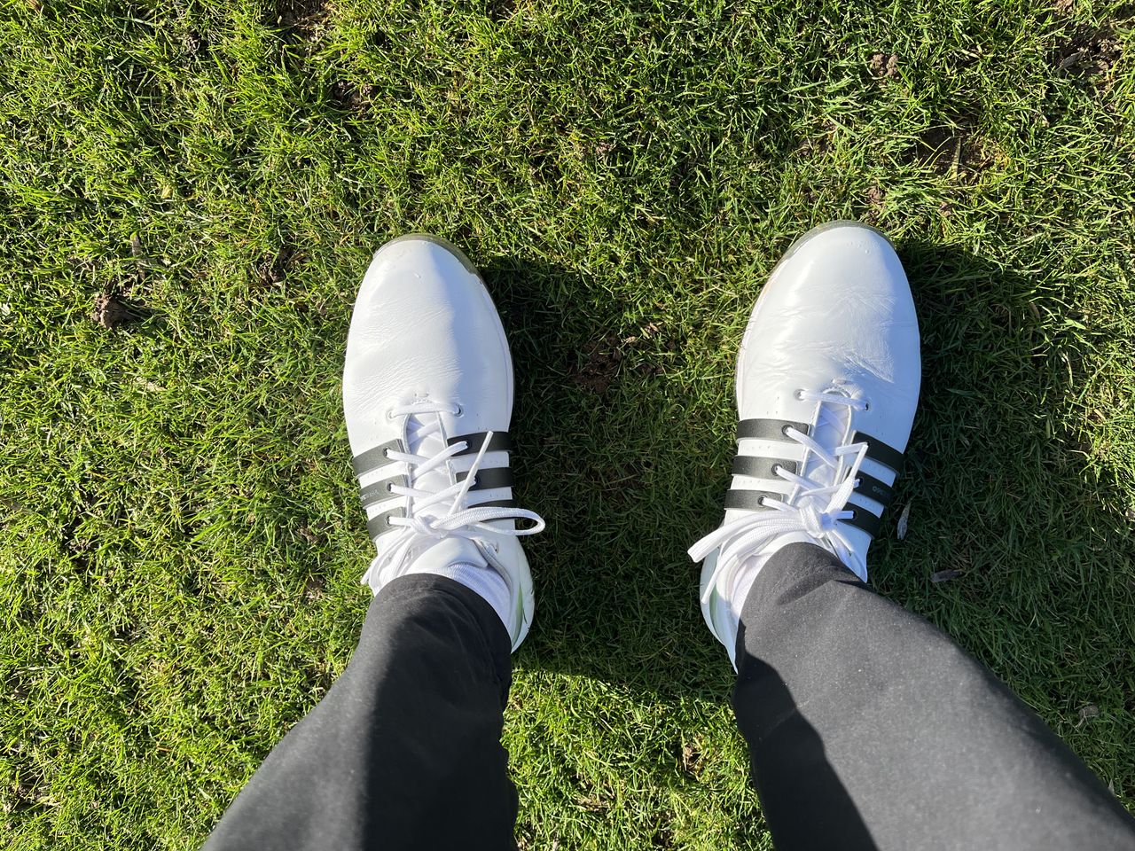 A birdseye view of the Adidas Tour360 24 golf shoe