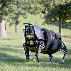 Innovation of the week: A robotic mule