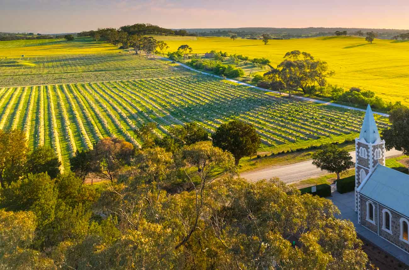 Henschke-Hill-of-Grace-Vineyard_Dragan-Radocaj