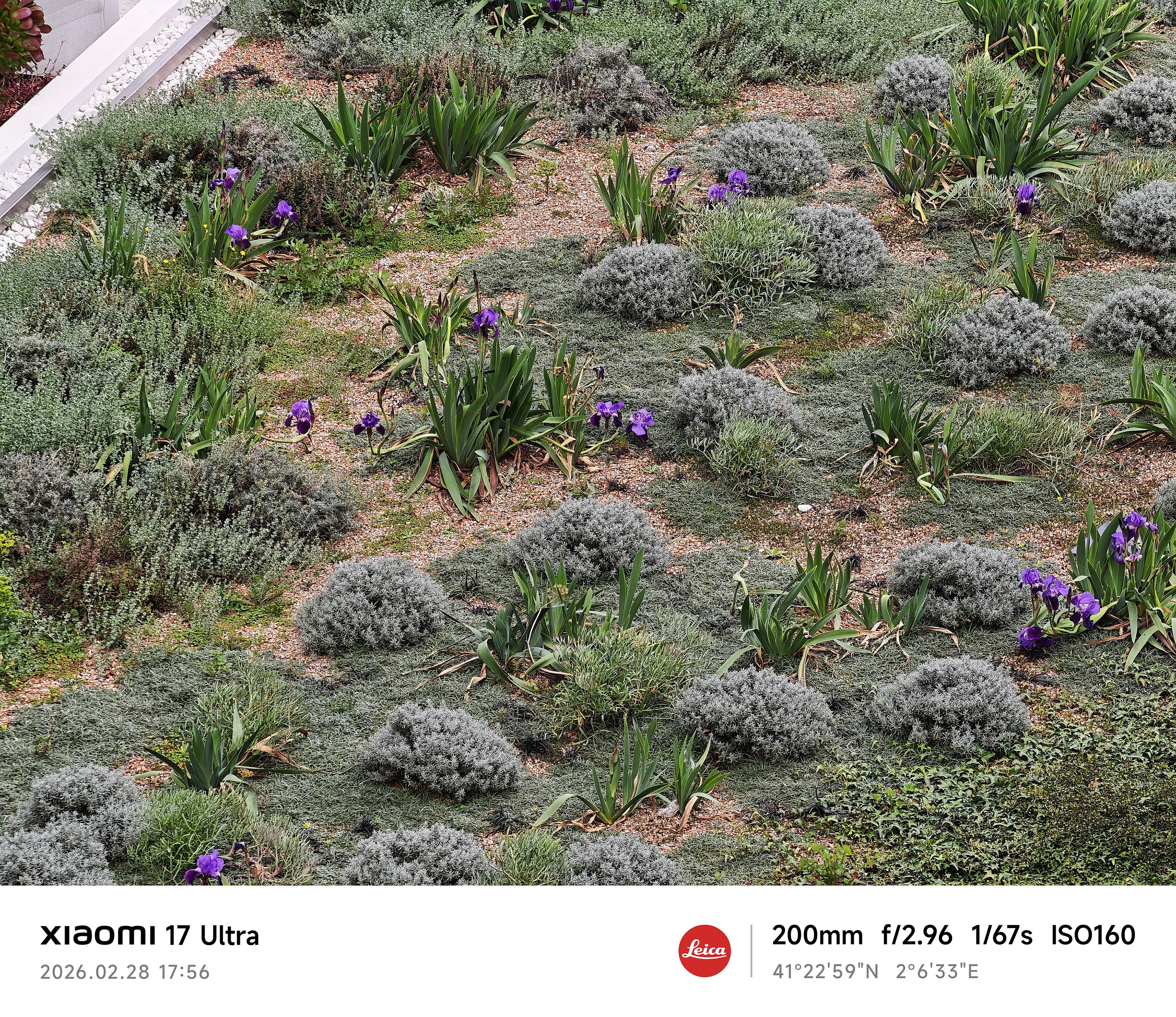 Xiaomi 17 Ultra camera sample zoom 8.6x 10MB