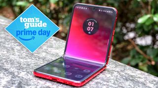 Razr Plus 2023 folded in half.